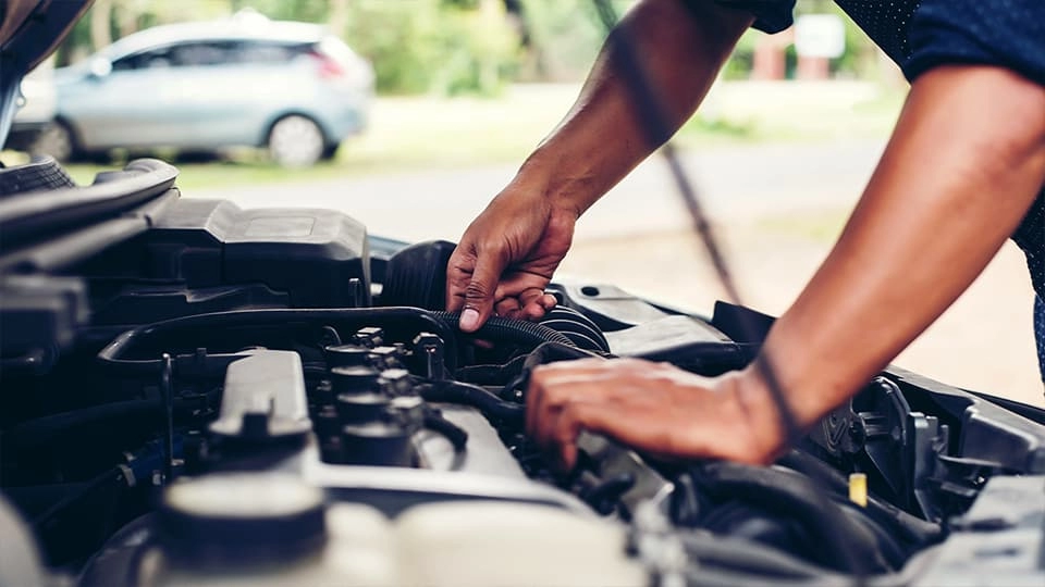 Automotive & Transportation