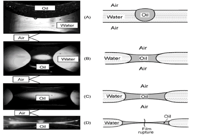 Defoamer Mechanism and Components