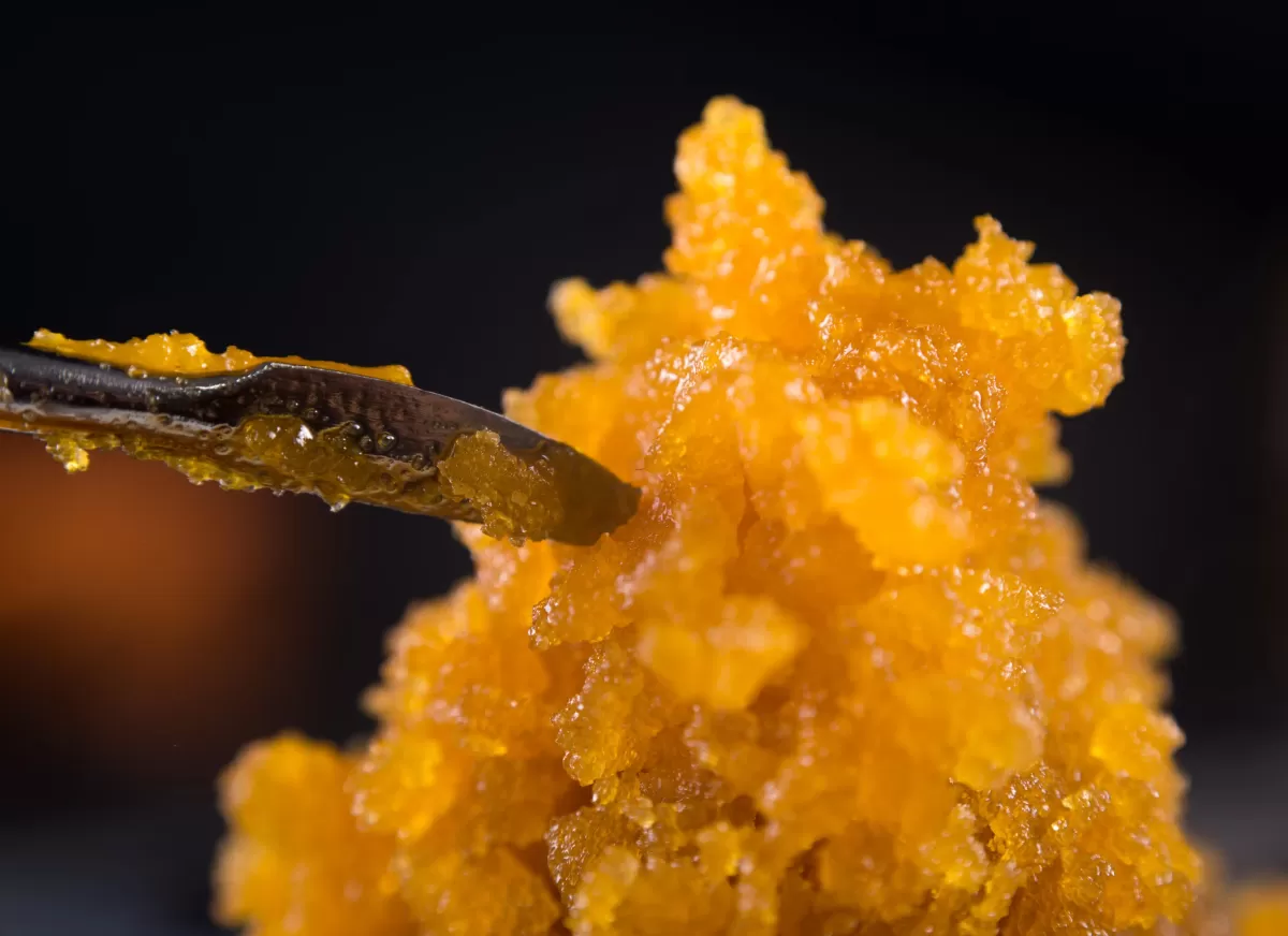 Live Resin vs Rosin Cannabis Uses Comparison